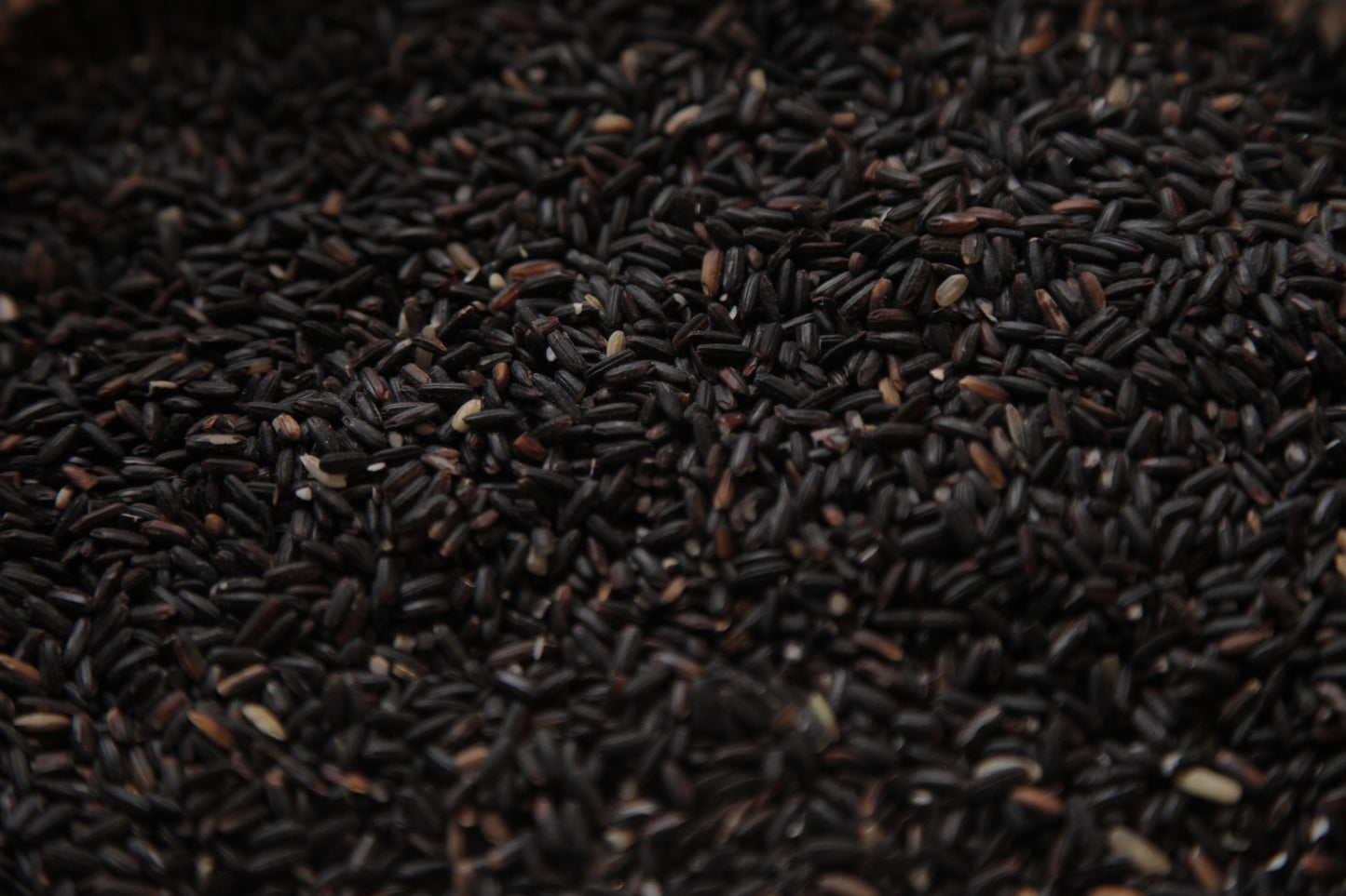 Black Rice